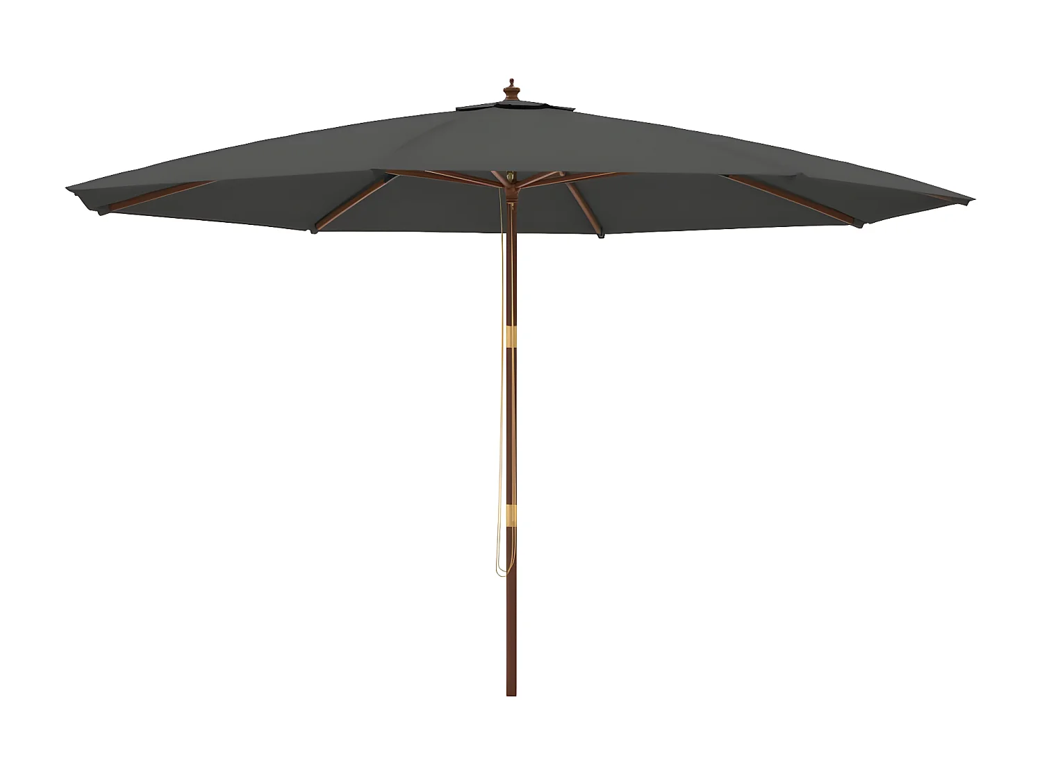 Parasol met houten paal 400x273 cm antracietkleurig NL970751