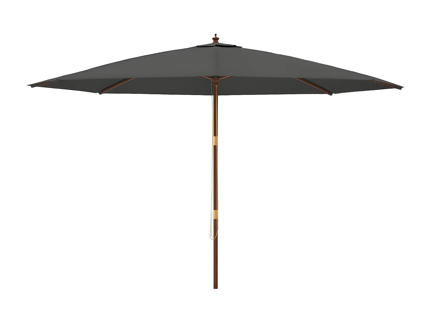 Parasol met houten paal 400x273 cm antracietkleurig NL970751