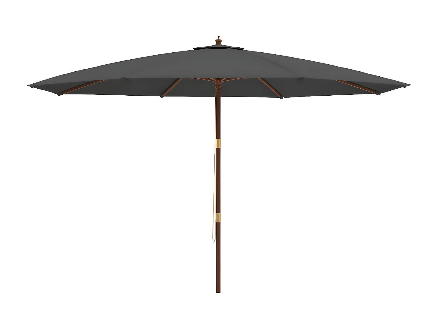 Parasol de jardin avec mât en bois anthracite 400x273 cm WVGQ8998
