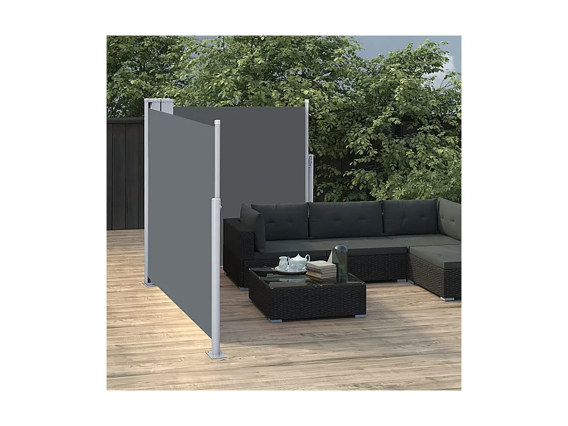 Auvent latéral rétractable Anthracite 100 x 600 cm WVGQ1846