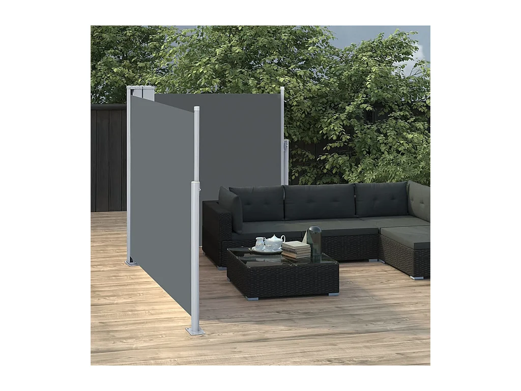 Auvent latéral rétractable Anthracite 100 x 600 cm WVGQ1846