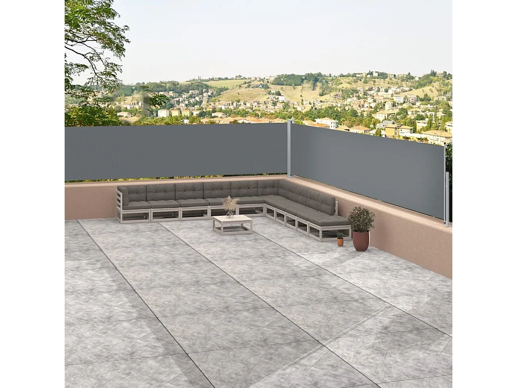 Auvent latéral rétractable Anthracite 117x1200 cm WVGQ5931