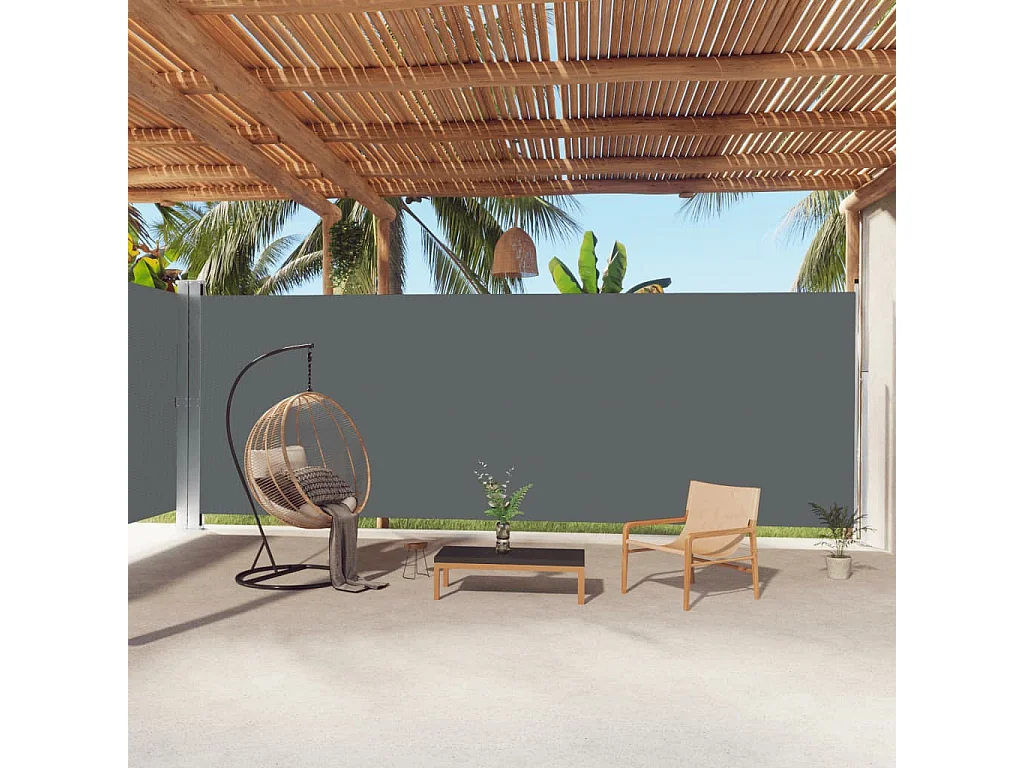Auvent latéral rétractable Anthracite 220x1000 cm WVGQ7834