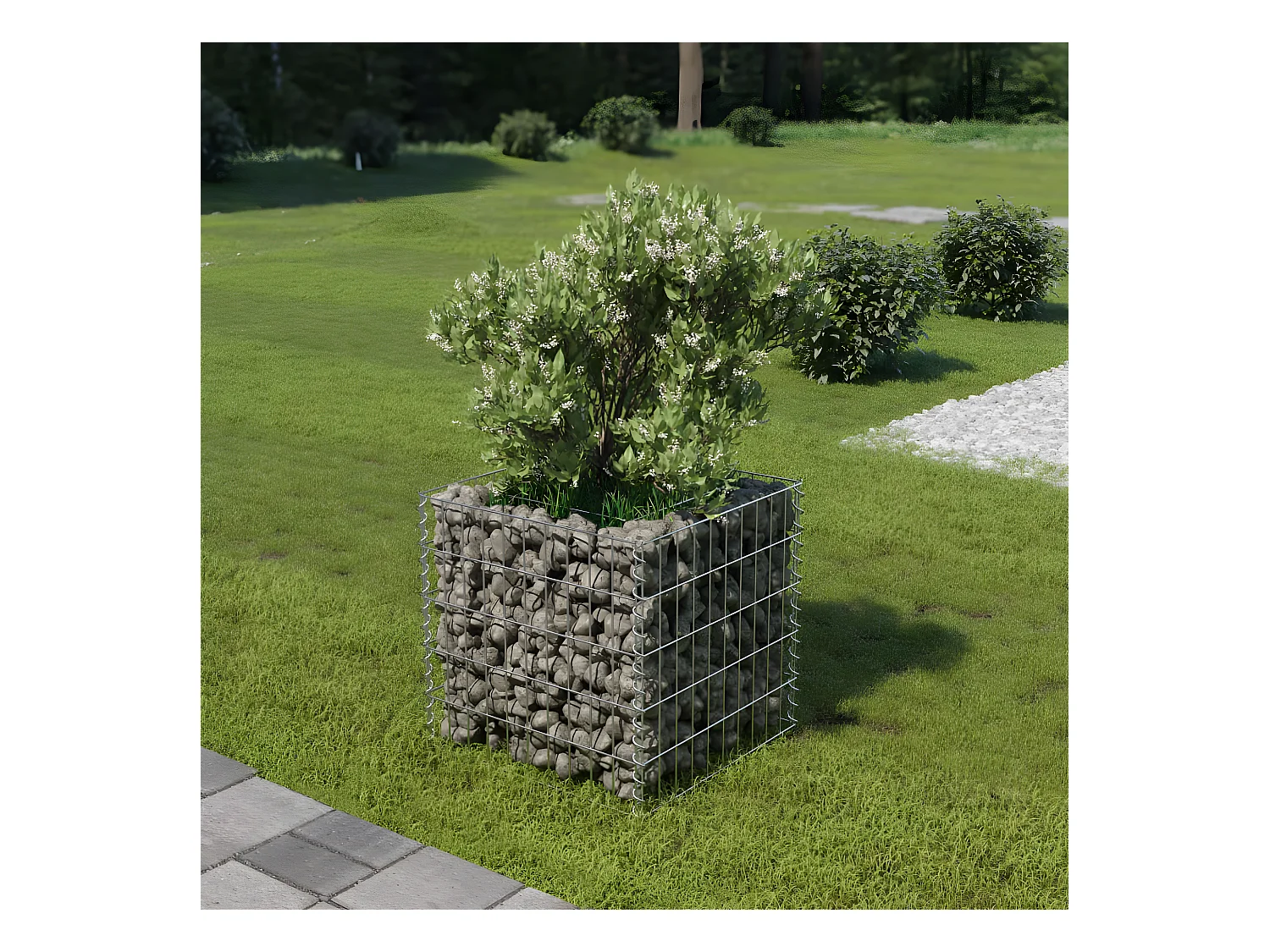 Lit surélevé à gabion Acier galvanisé 50x50x50 cm WVGQ4447