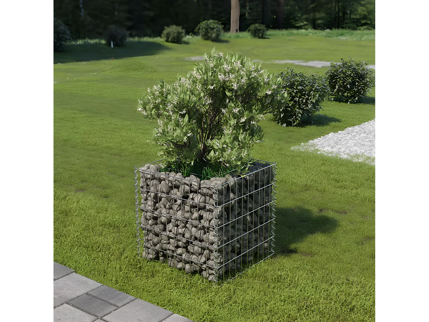 Lit surélevé à gabion Acier galvanisé 50x50x50 cm WVGQ4447