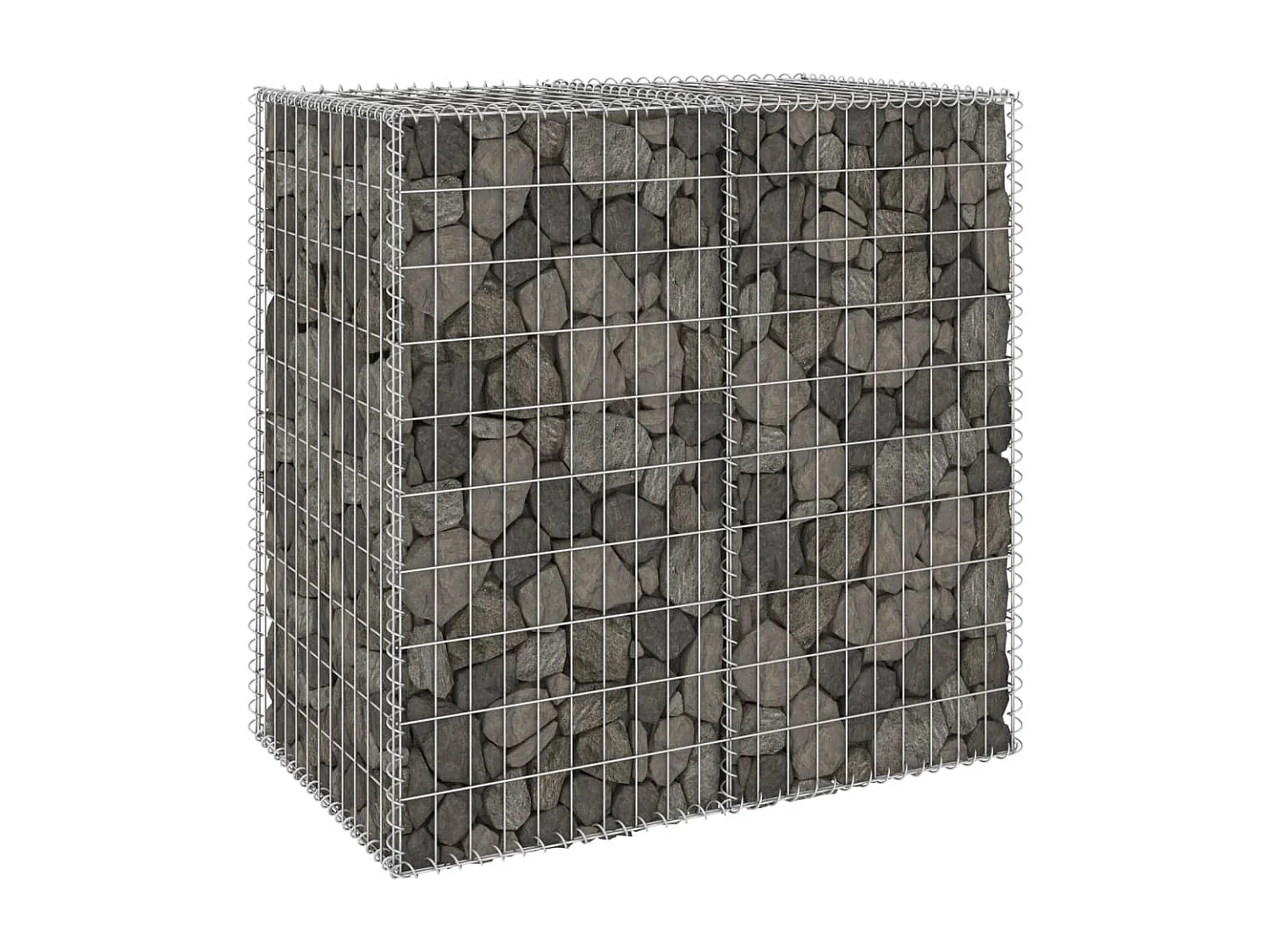 Mur en gabion avec couvercles Acier galvanisé 100x60x100 cm WVGQ1281