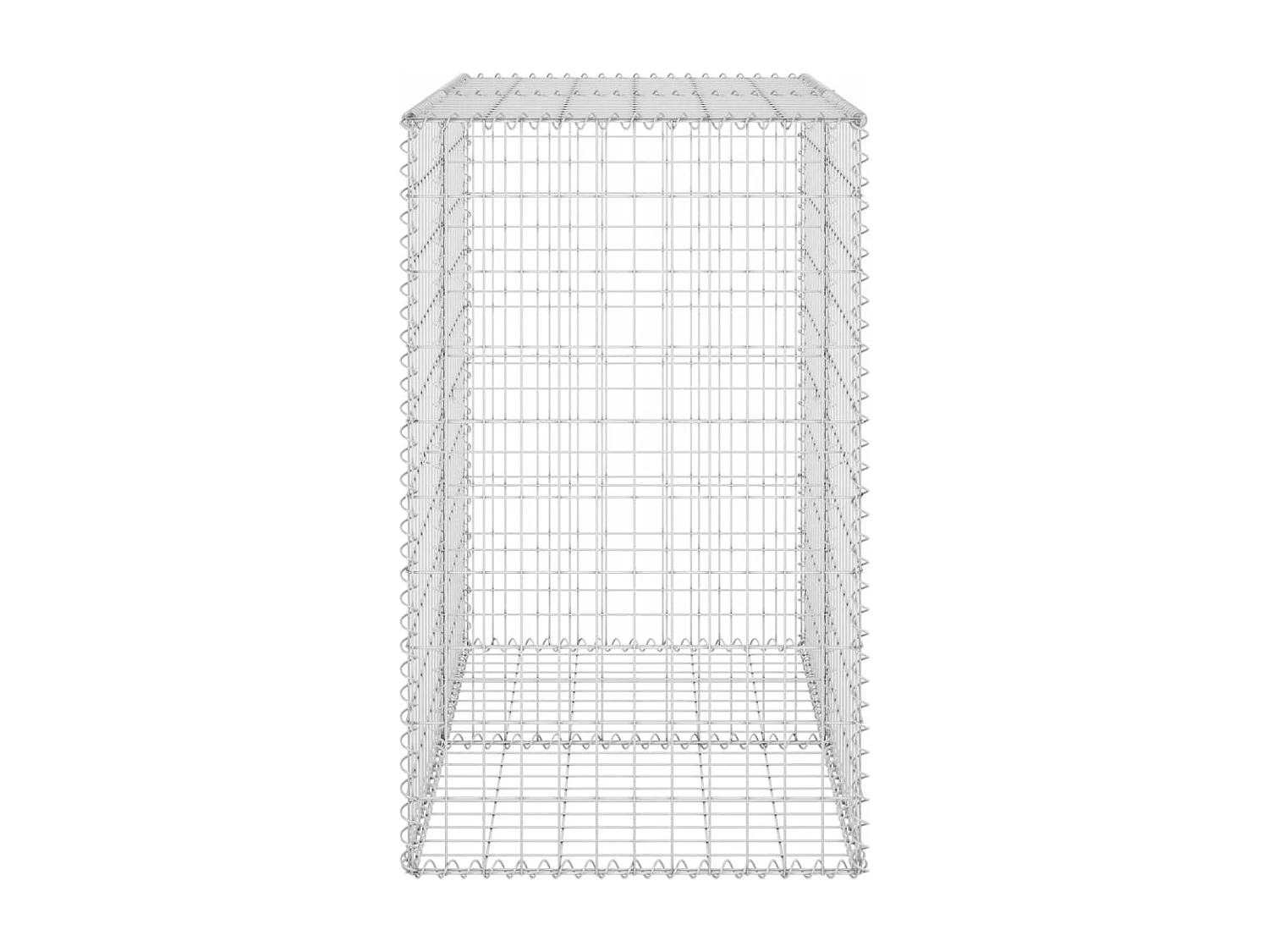 Mur en gabion avec couvercles Acier galvanisé 100x60x100 cm WVGQ1281
