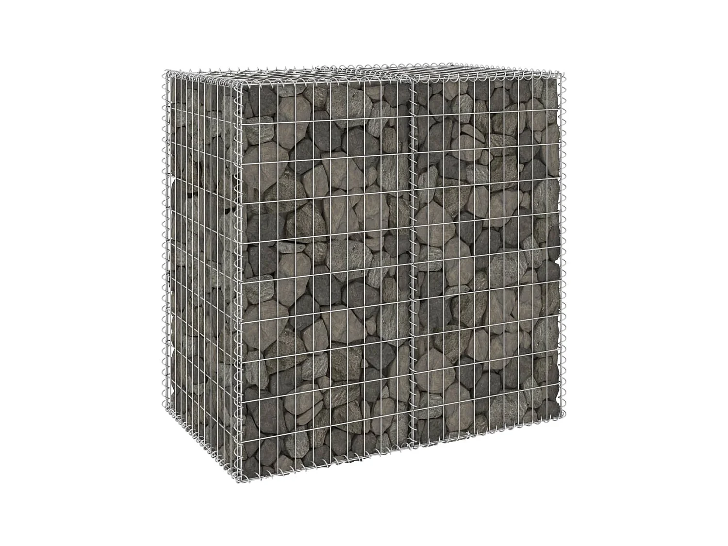 Mur en gabion avec couvercles Acier galvanisé 100x60x100 cm WVGQ1281