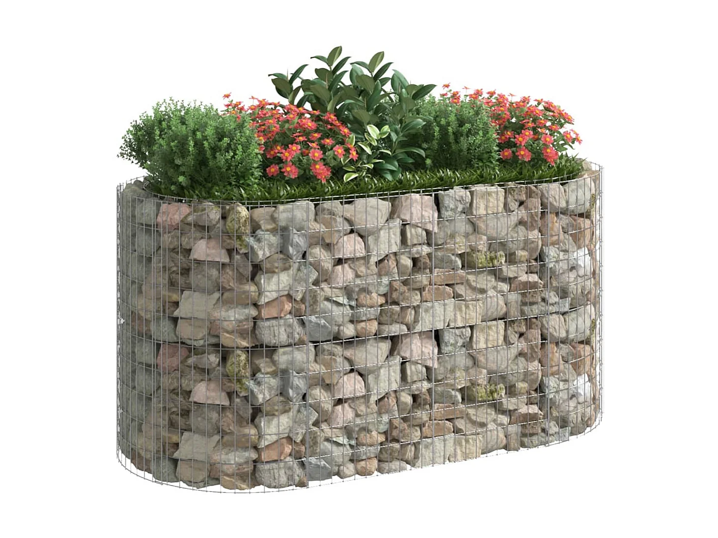 Lit surélevé à gabion Fer galvanisé 200x100x100 cm WVGQ8141