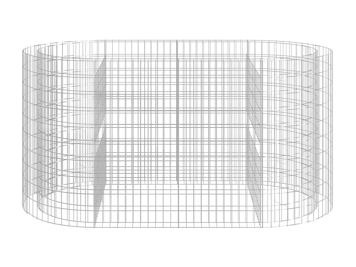 Lit surélevé à gabion Fer galvanisé 200x100x100 cm WVGQ8141
