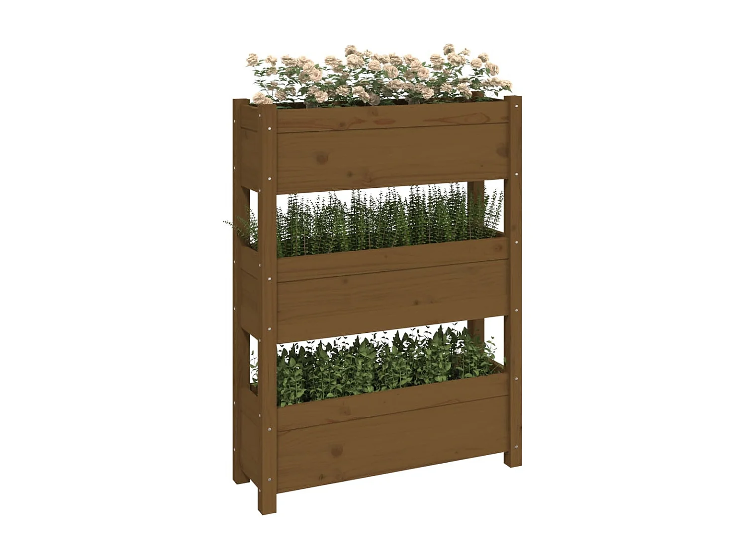 Jardinière Marron miel 77x25x104,5 cm Bois massif de pin BE8009