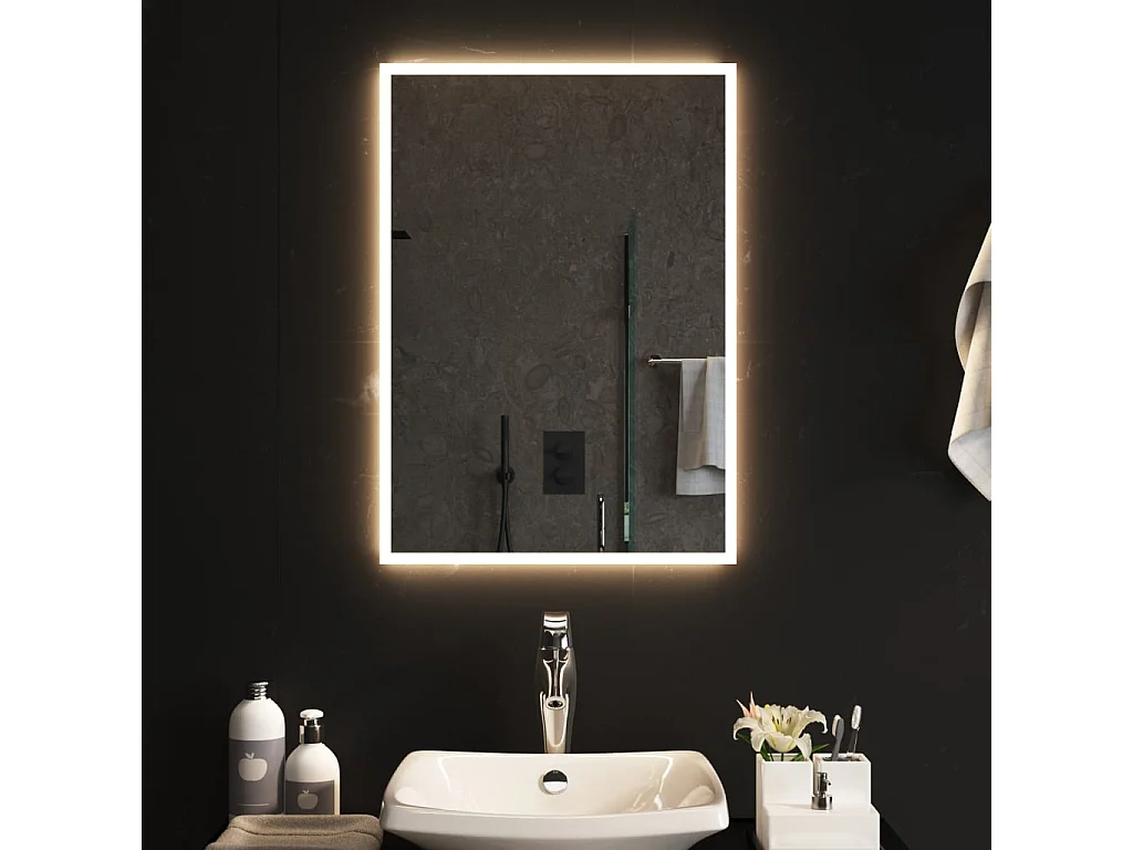 Miroir de salle de bain à LED 50x70 cm WVGQ7478