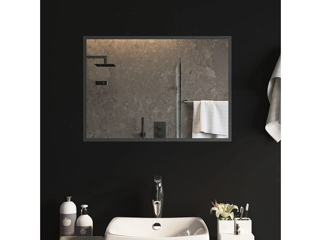 Miroir de salle de bain à LED 50x70 cm WVGQ7478