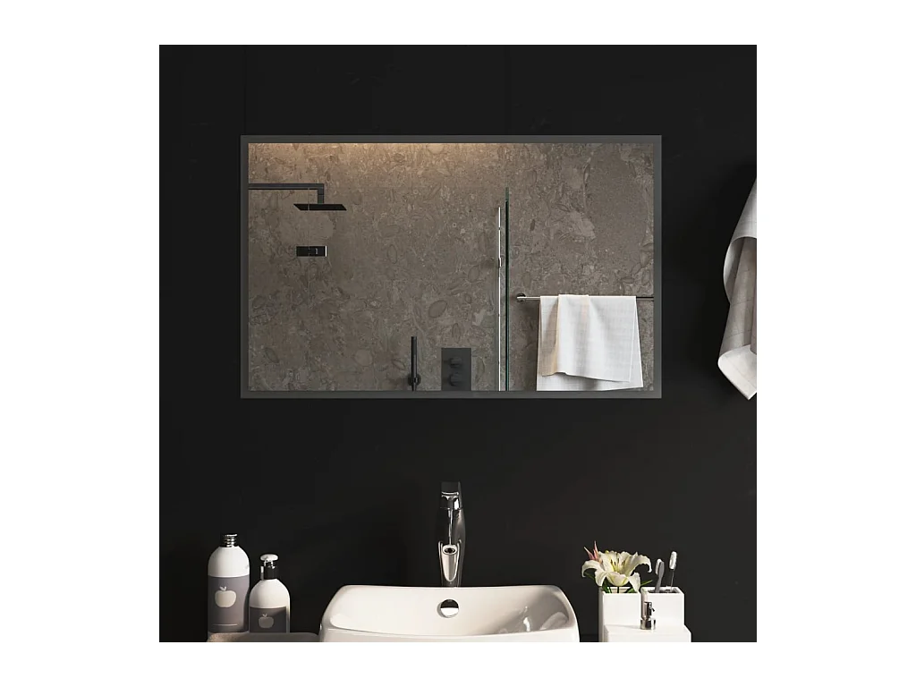 Miroir de salle de bain à LED 80x50 cm WVGQ7028