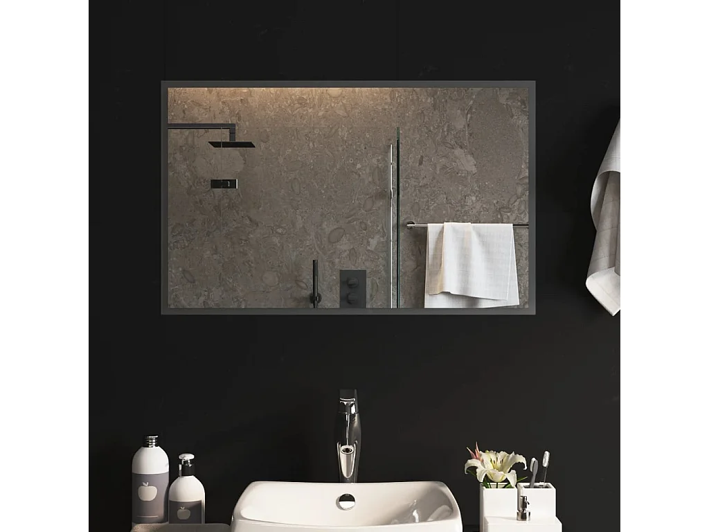 Miroir de salle de bain à LED 80x50 cm WVGQ7028