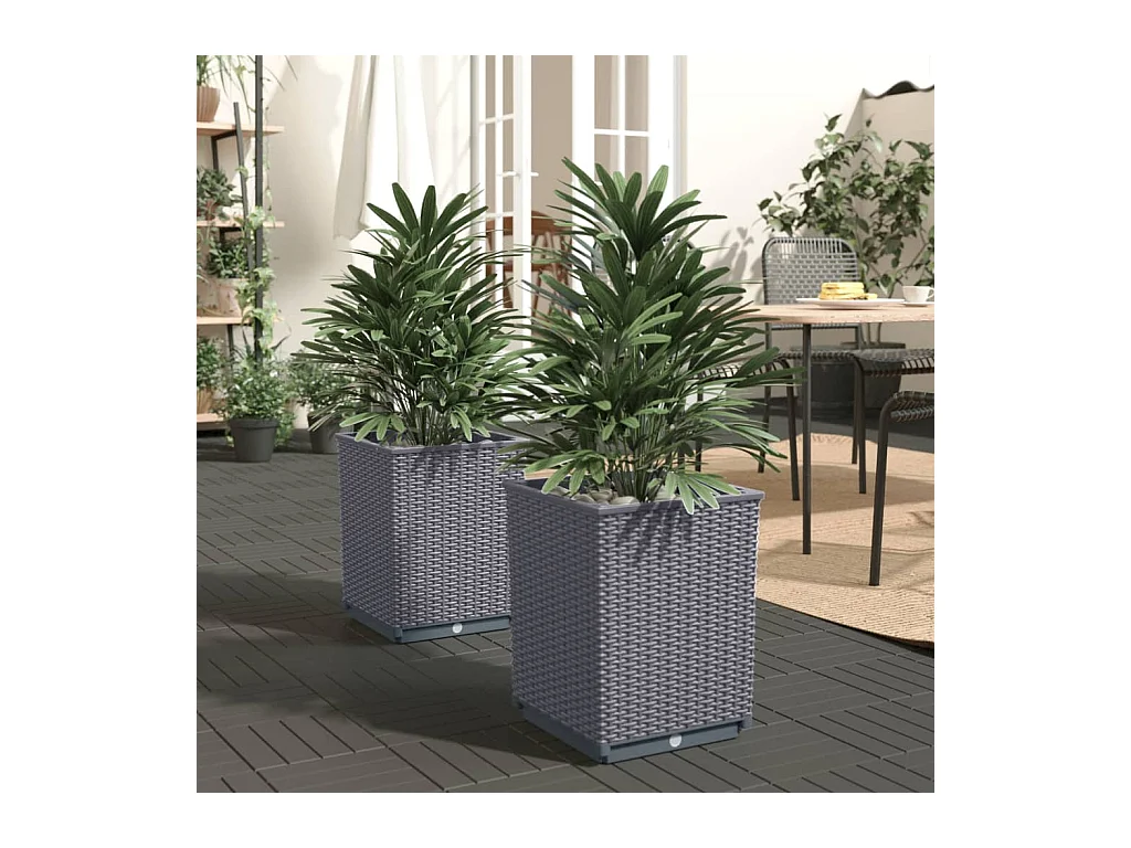 Jardinières 2 pcs gris foncé 30x30x37 cm polypropylène BE8748