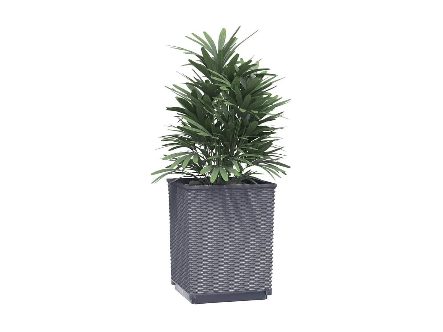 Jardinières 2 pcs gris foncé 30x30x37 cm polypropylène BE8748