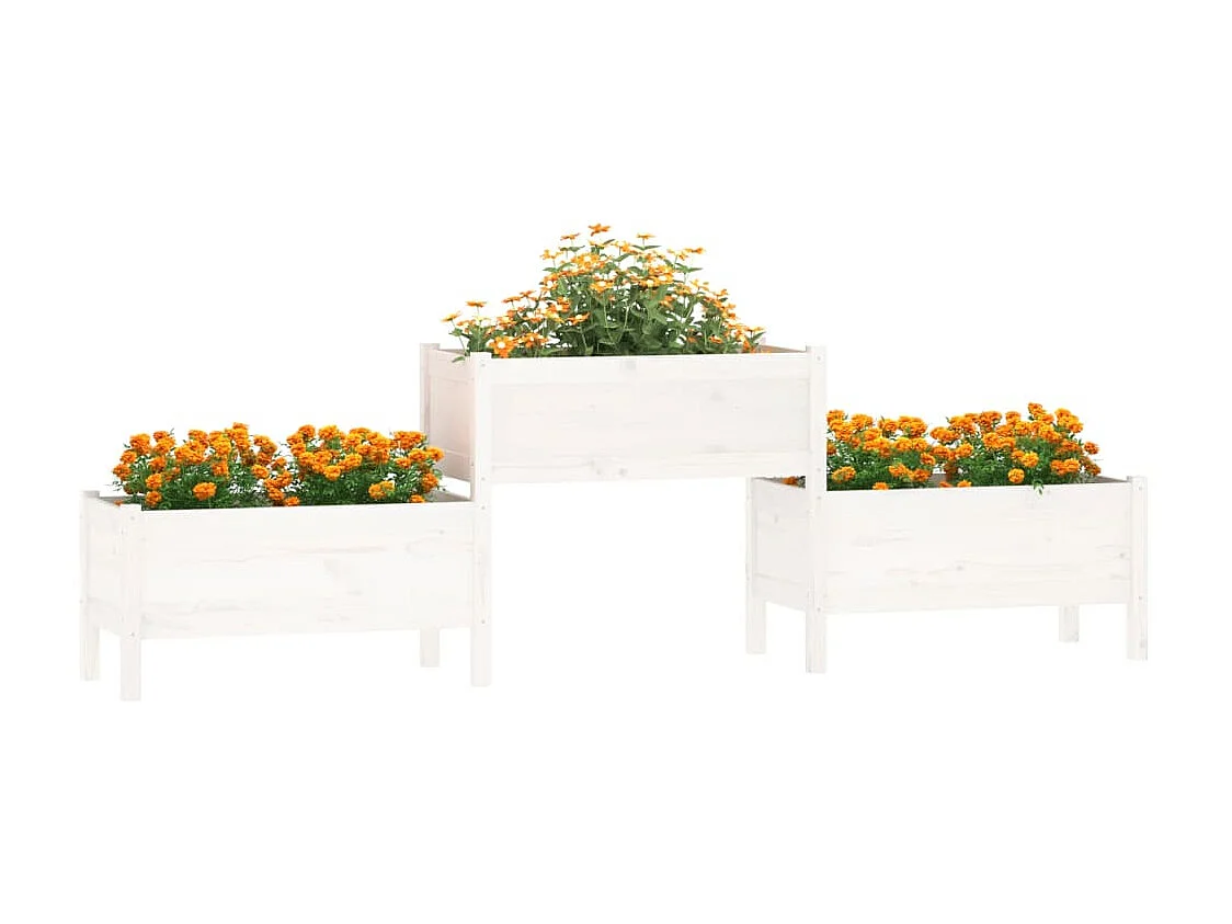 Jardinière Blanc 245,5x44x75 cm Bois massif de pin BE7891