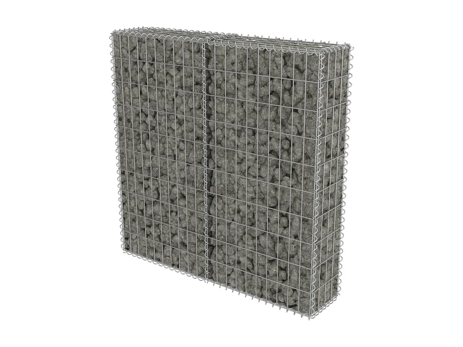 Mur à gabion avec couvercles Acier galvanisé 100x20x100 cm WVGQ7940