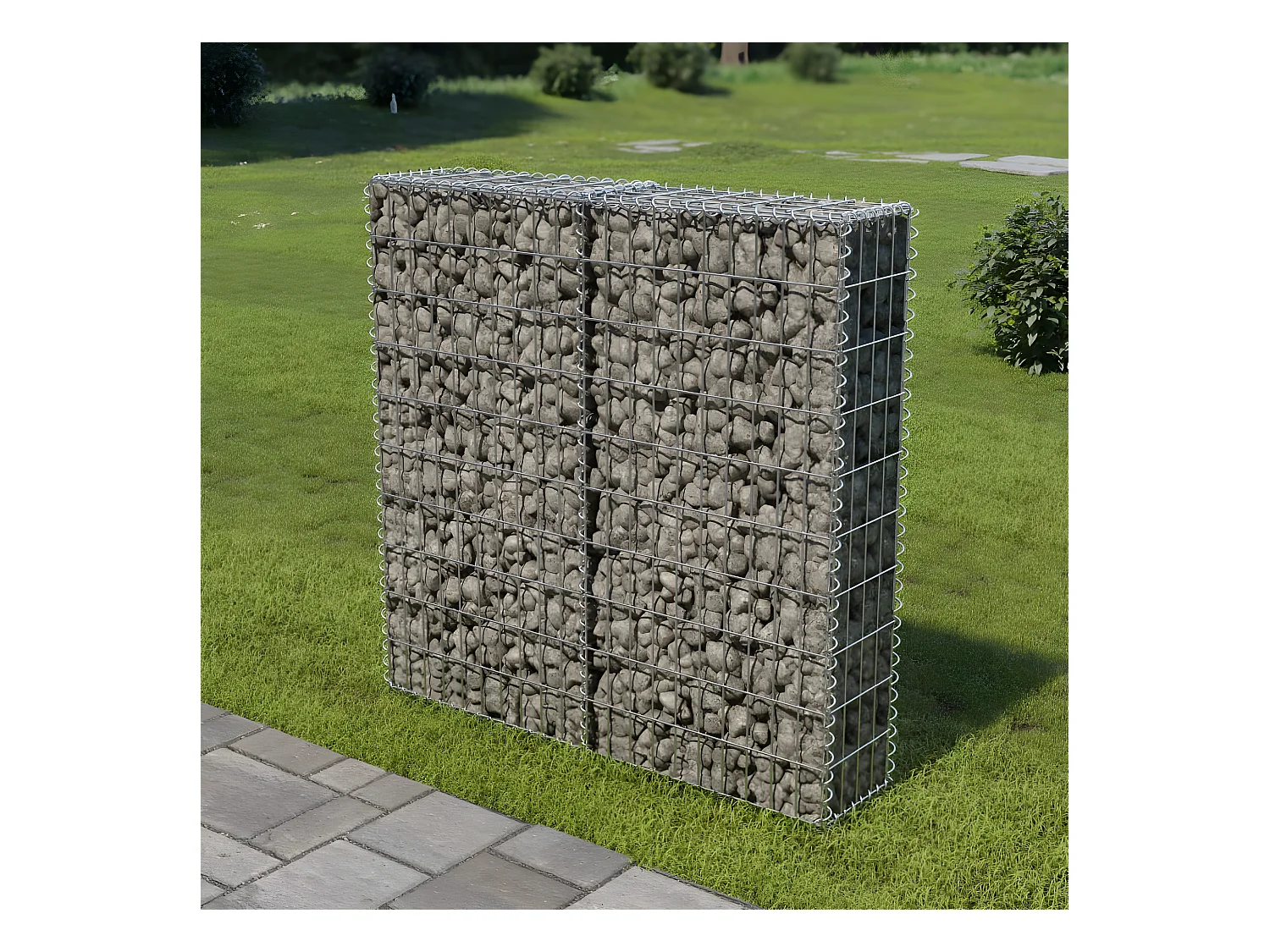 Mur à gabion avec couvercles Acier galvanisé 100x20x100 cm WVGQ7940
