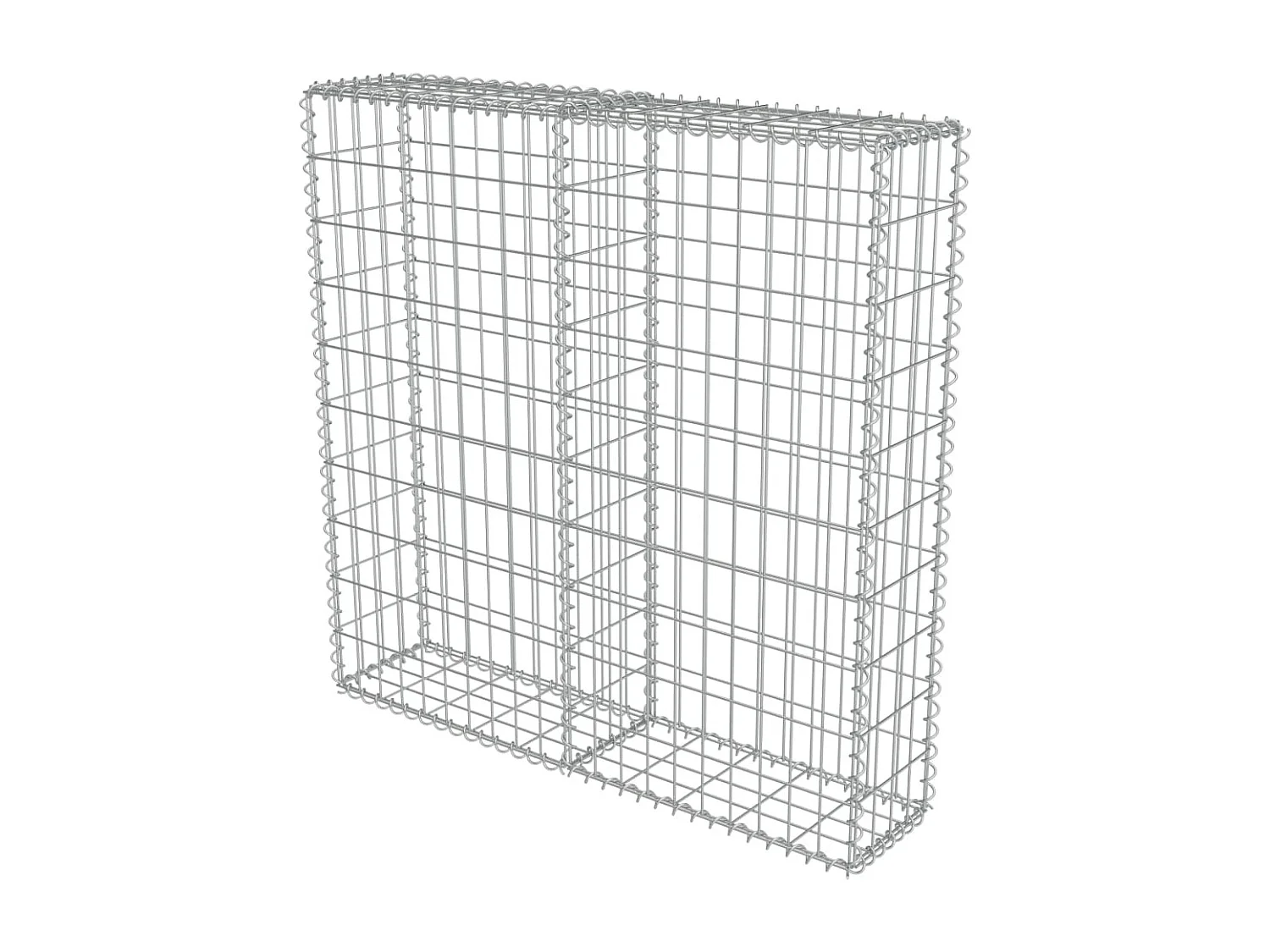 Mur à gabion avec couvercles Acier galvanisé 100x20x100 cm WVGQ7940