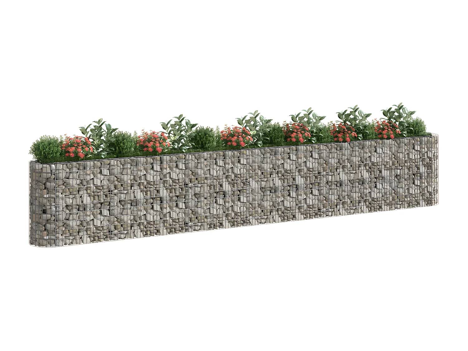 Lit surélevé à gabion Fer galvanisé 610x50x100 cm WVGQ2564