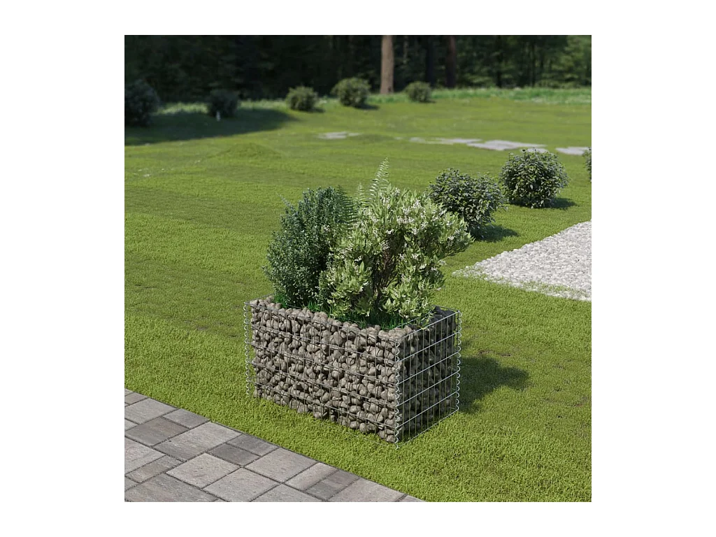 Lit surélevé à gabion Acier galvanisé 90x50x50 cm WVGQ1711