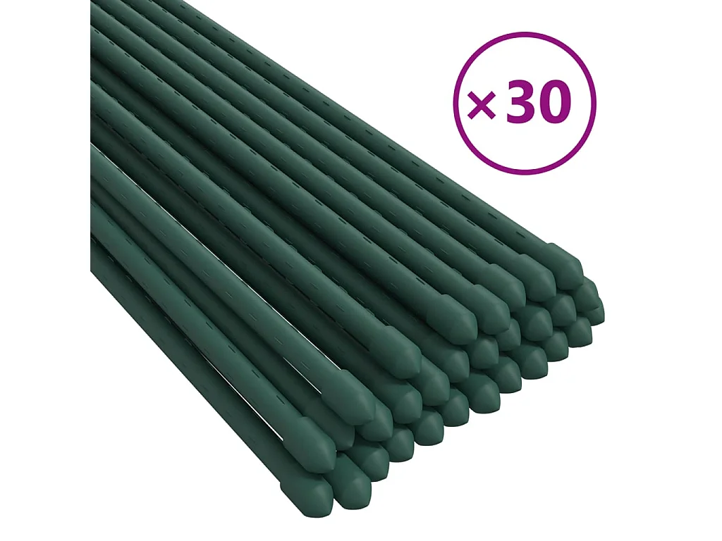 Piquets pour plantes de jardin 30 pcs vert 180 cm acier BE47695