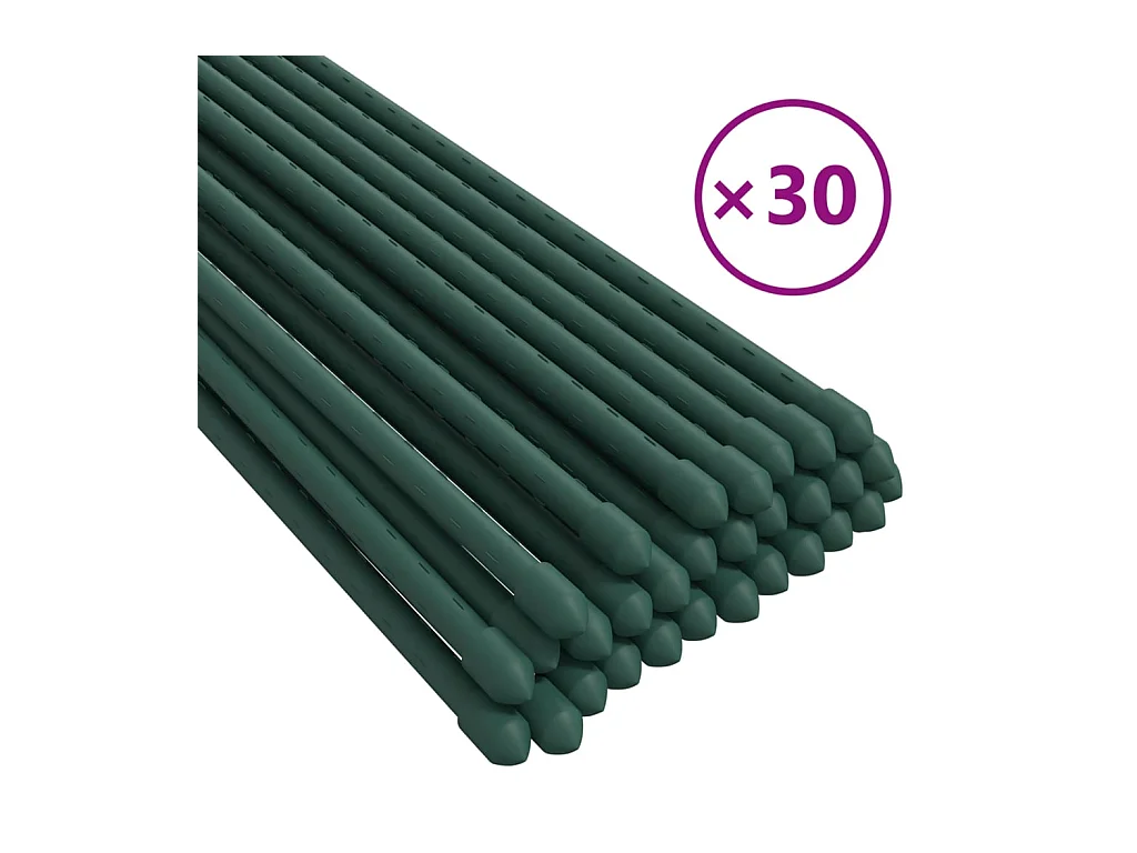Piquets pour plantes de jardin 30 pcs vert 180 cm acier BE47695
