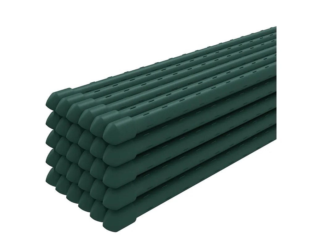 Piquets pour plantes de jardin 30 pcs vert 180 cm acier BE47695