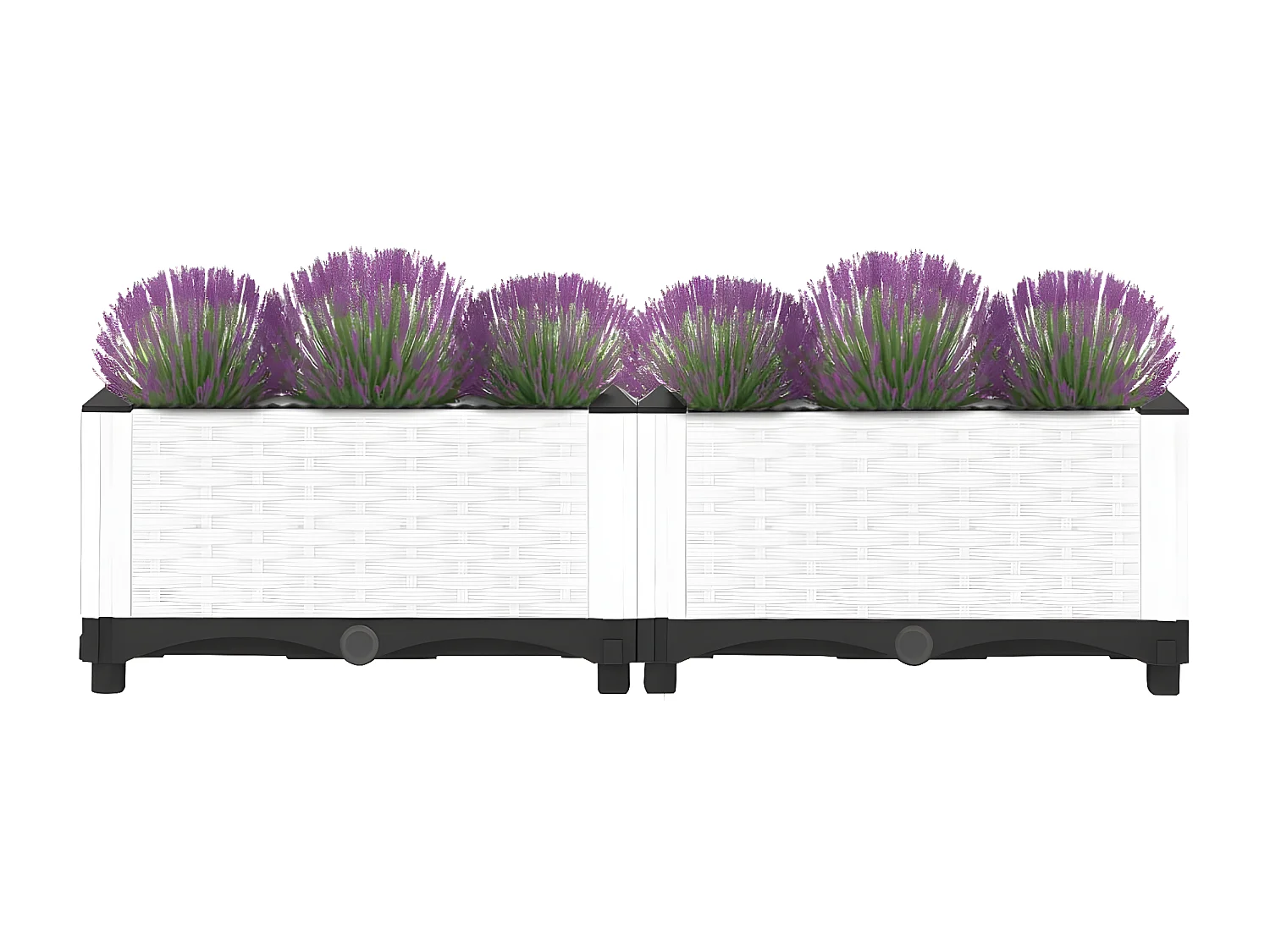 Plantenbak verhoogd 80x40x23 cm polypropeen