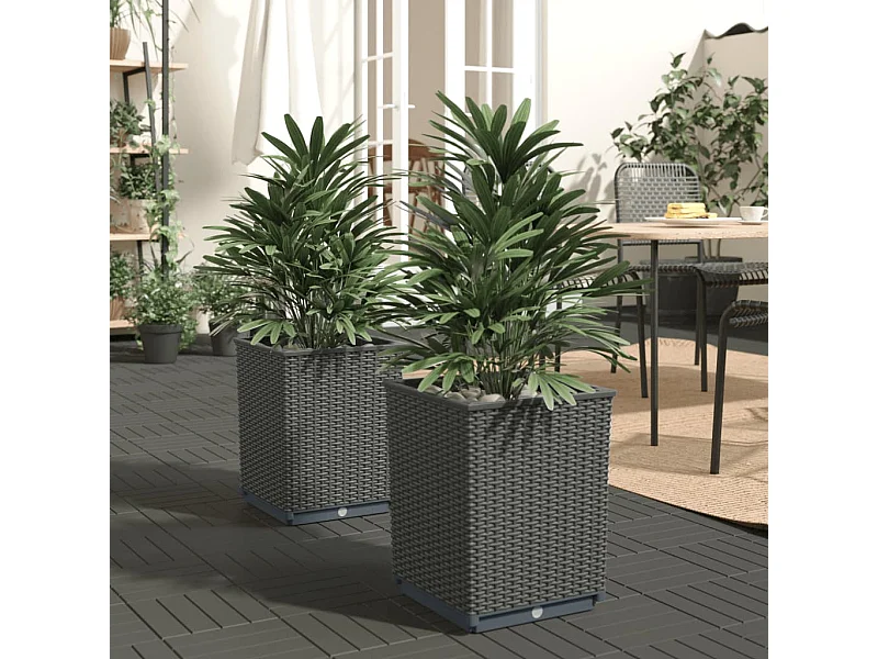 Jardinières 2 pcs noir 30x30x37 cm polypropylène BE7891