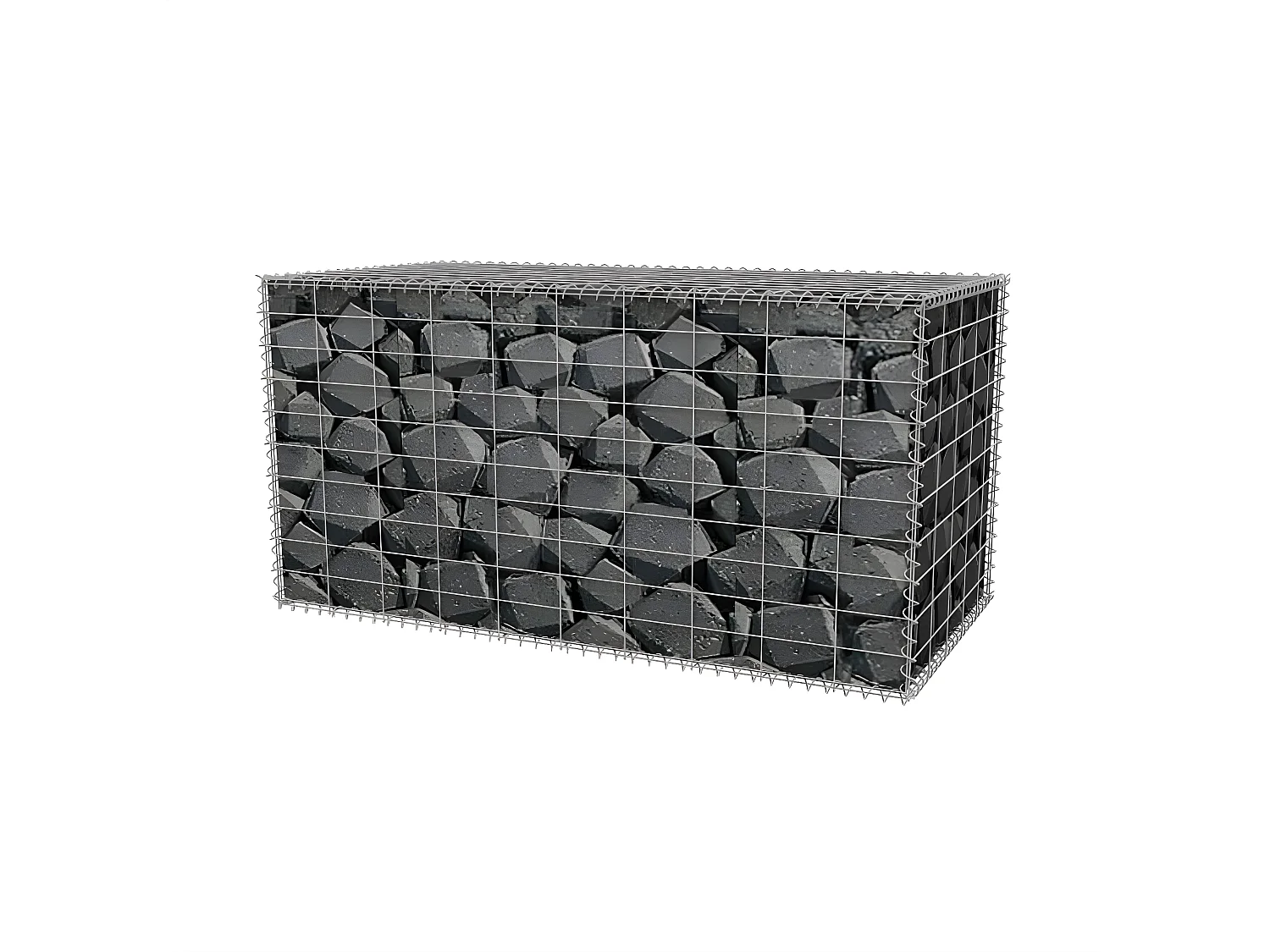 Mur de gabion Acier galvanisé 100x50x50 cm WVGQ4299