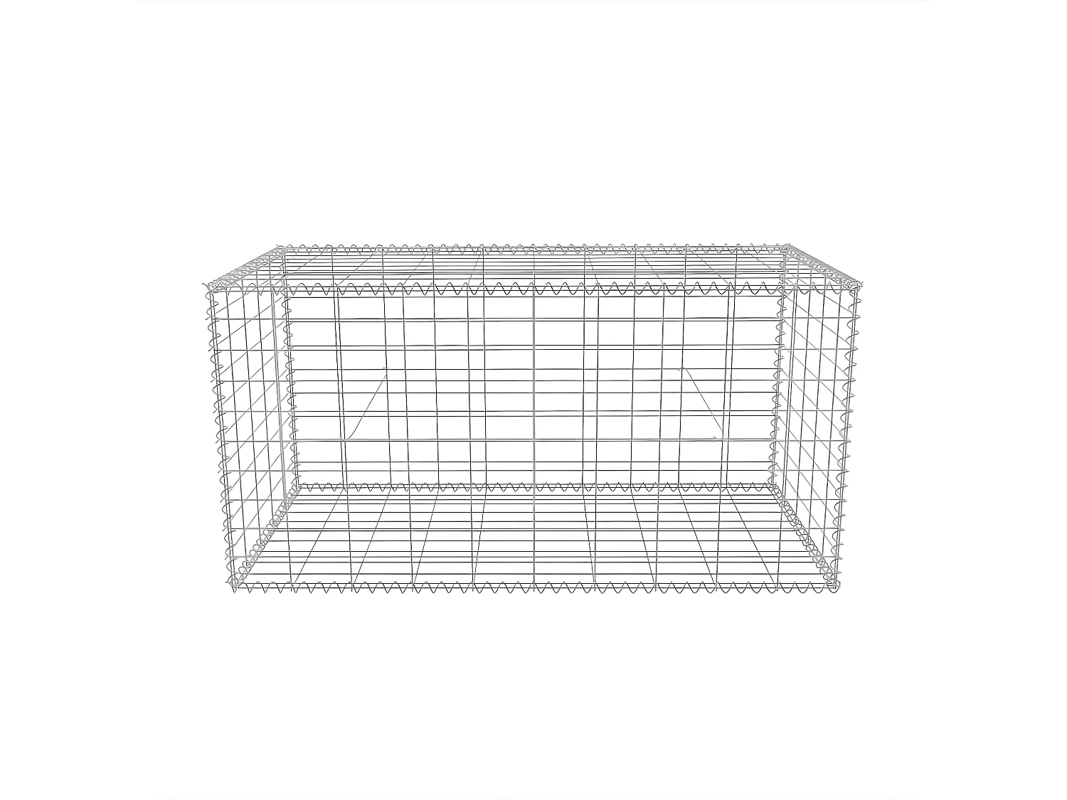 Mur de gabion Acier galvanisé 100x50x50 cm WVGQ4299