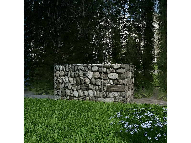Mur de gabion Acier galvanisé 100x50x50 cm WVGQ4299
