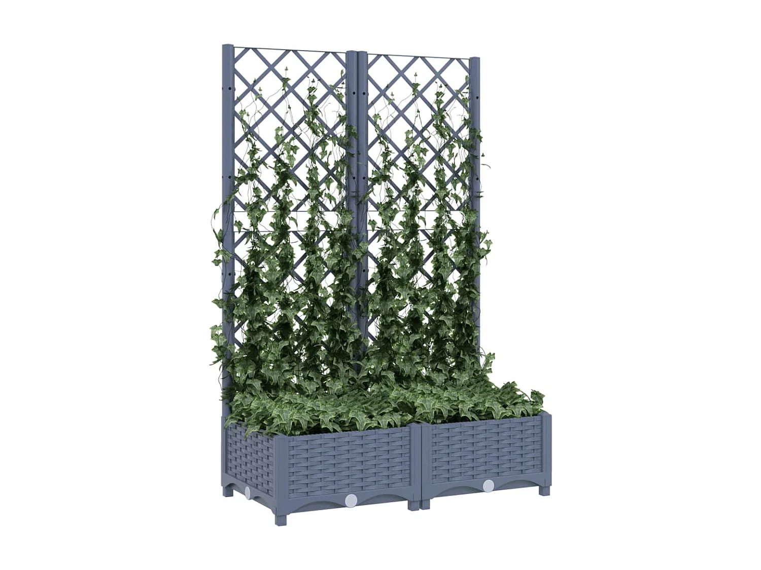 Jardinière avec treillis Gris foncé 80x40x121,5 cm PP BE5691