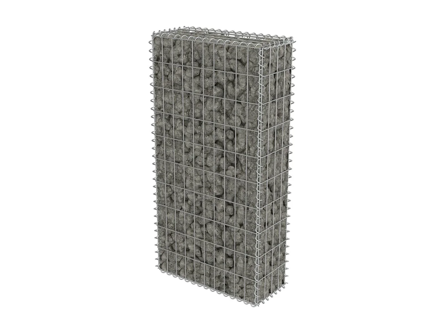 Mur en gabion avec couvercles Acier galvanisé 50 x 20 x 100 cm WVGQ6202