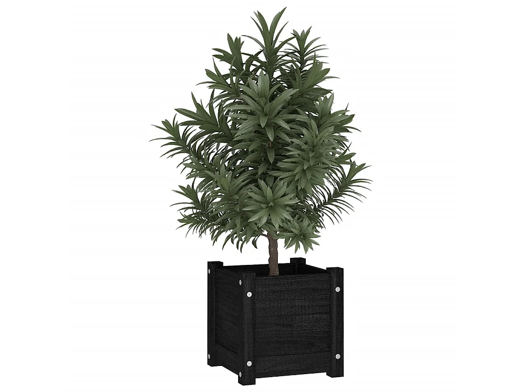 Jardinières d'extérieur 2 pcs Noir 31x31x31 cm Bois de pin BE3694