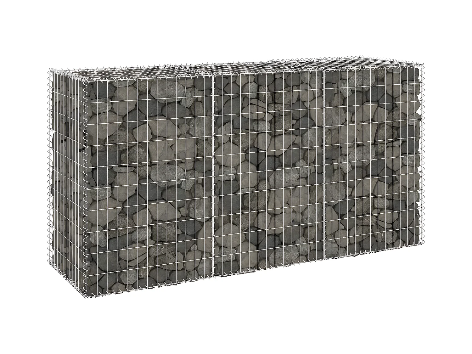 Mur en gabion avec couvercles Acier galvanisé 200x60x100 cm WVGQ6333