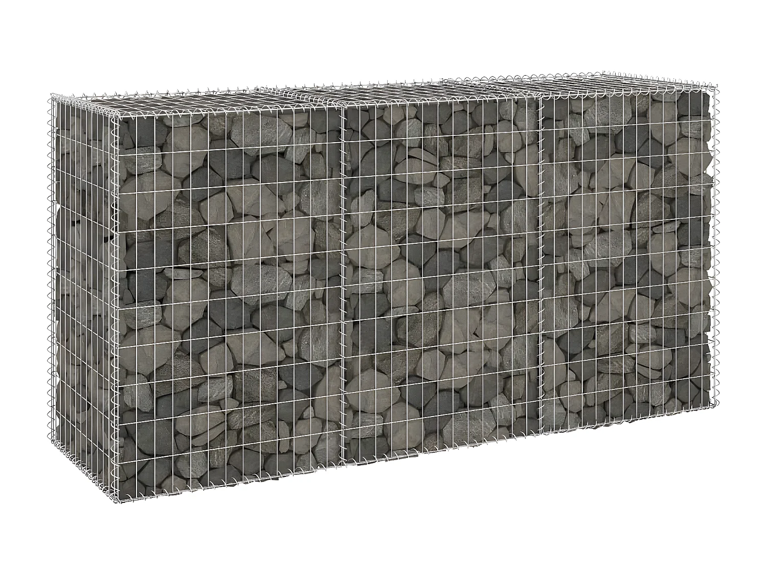 Mur en gabion avec couvercles Acier galvanisé 200x60x100 cm WVGQ6333