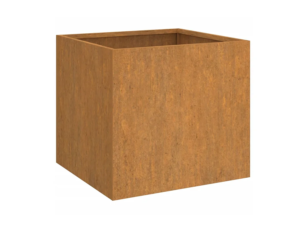 Jardinières 2 pcs 32x30x29 cm acier corten BE7055