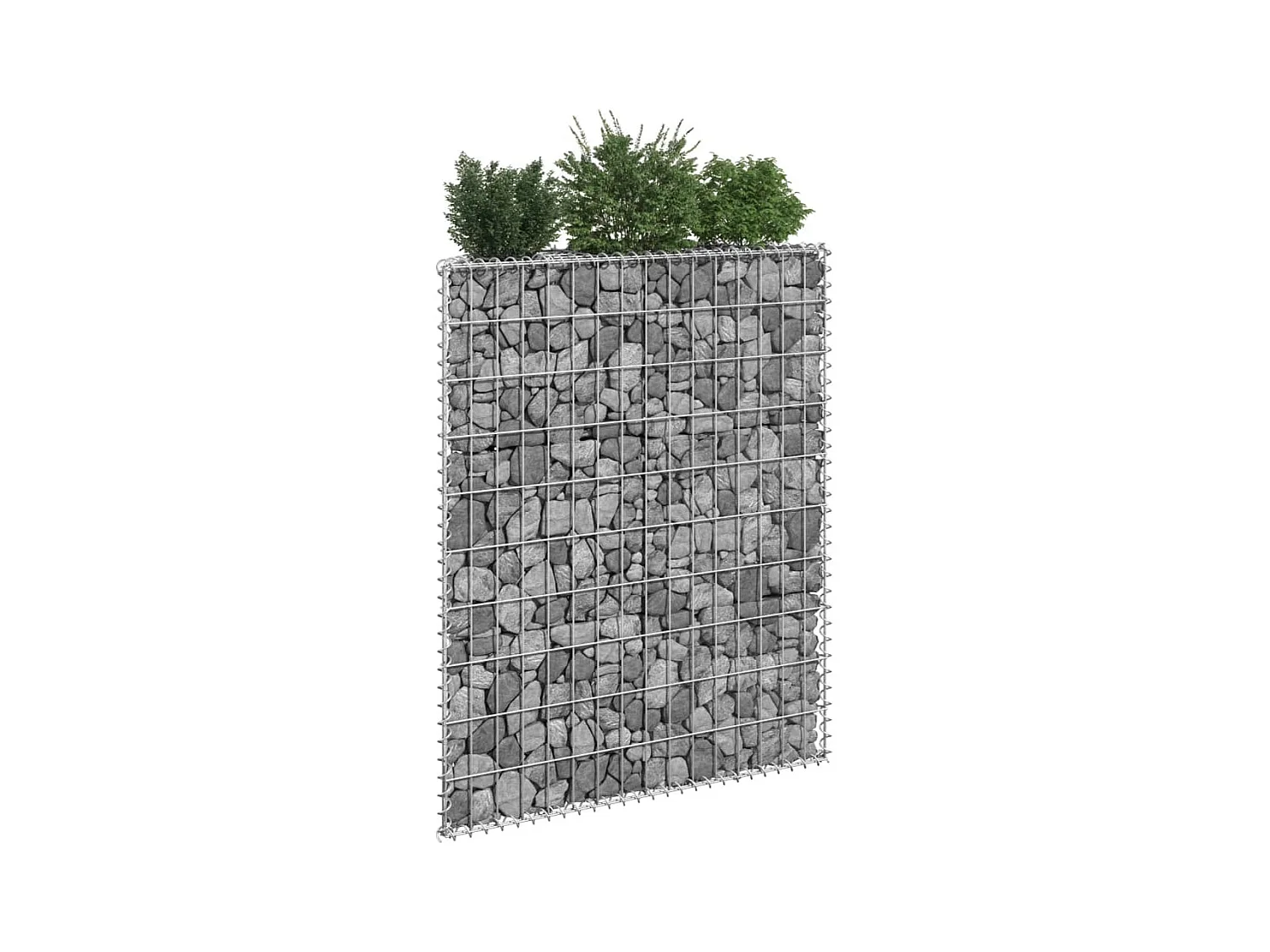 Lit surélevé à gabion en trapèze Acier galvanisé 80x20x100 cm WVGQ7181