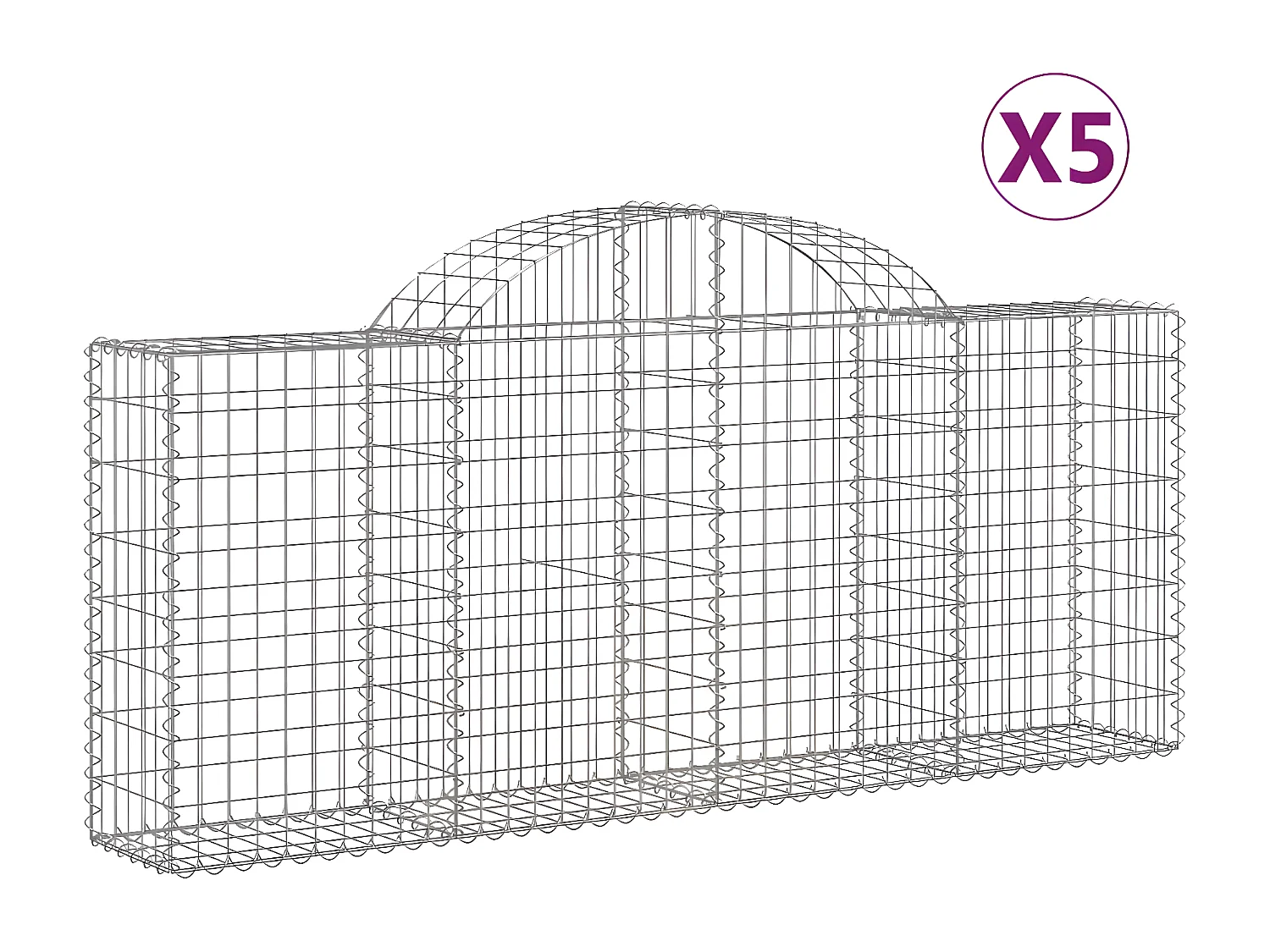 Paniers à gabions arqués 5 pcs 200x30x80/100 cm Fer galvanisé WVGQ2844