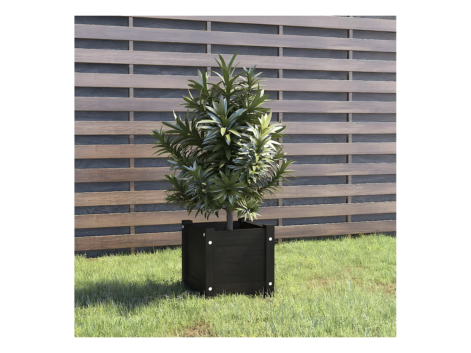 Jardinière d'extérieur Noir 31x31x31 cm Bois de pin massif BE6858