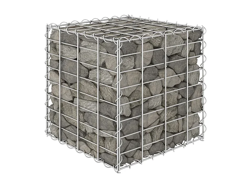 Lit surélevé cube à gabion Fil d'acier 40x40x40 cm WVGQ4297