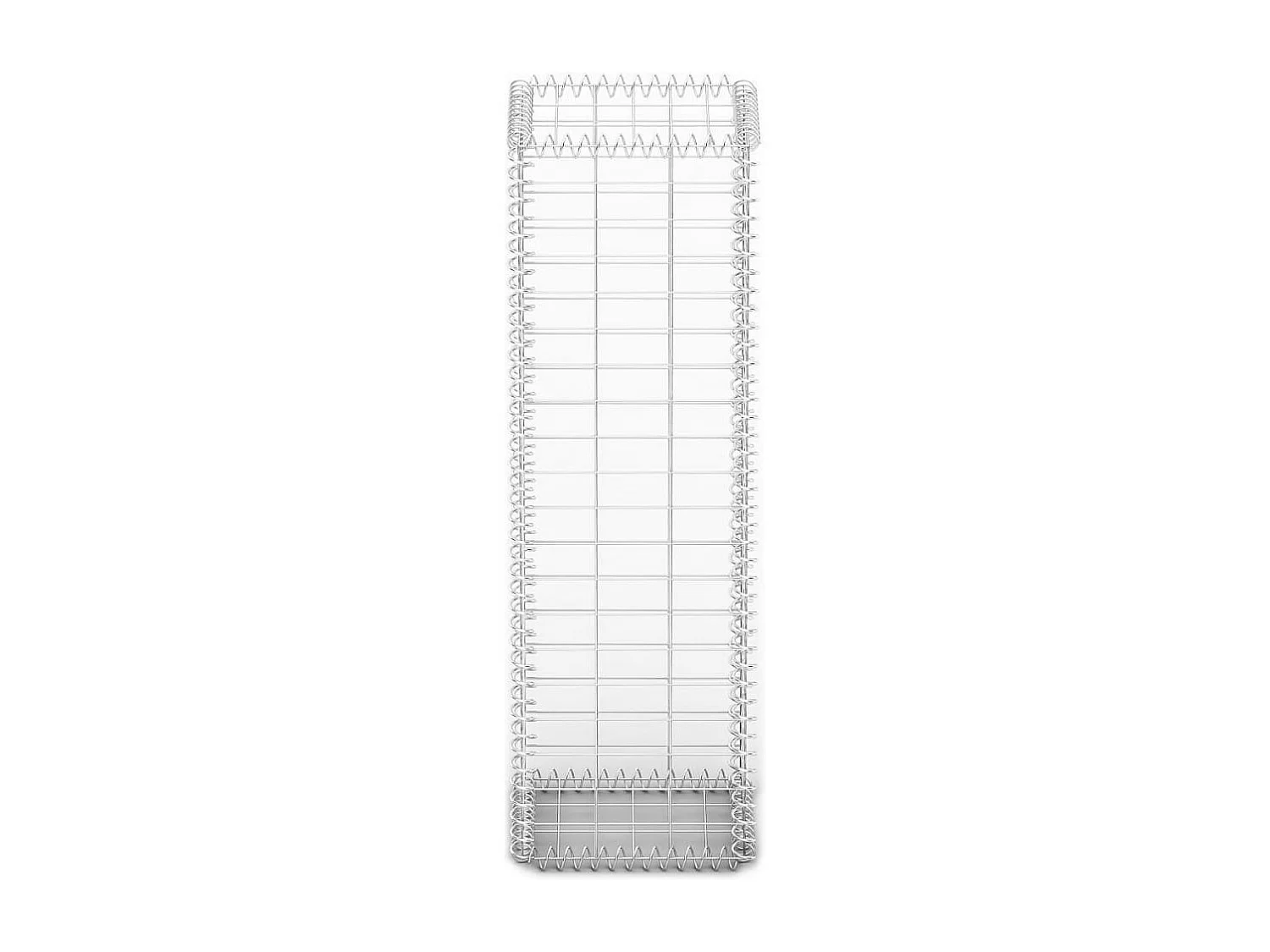 Mur de gabion avec couvercle Fil galvanisé 100 x 30 x 30 cm  WVGQ8729