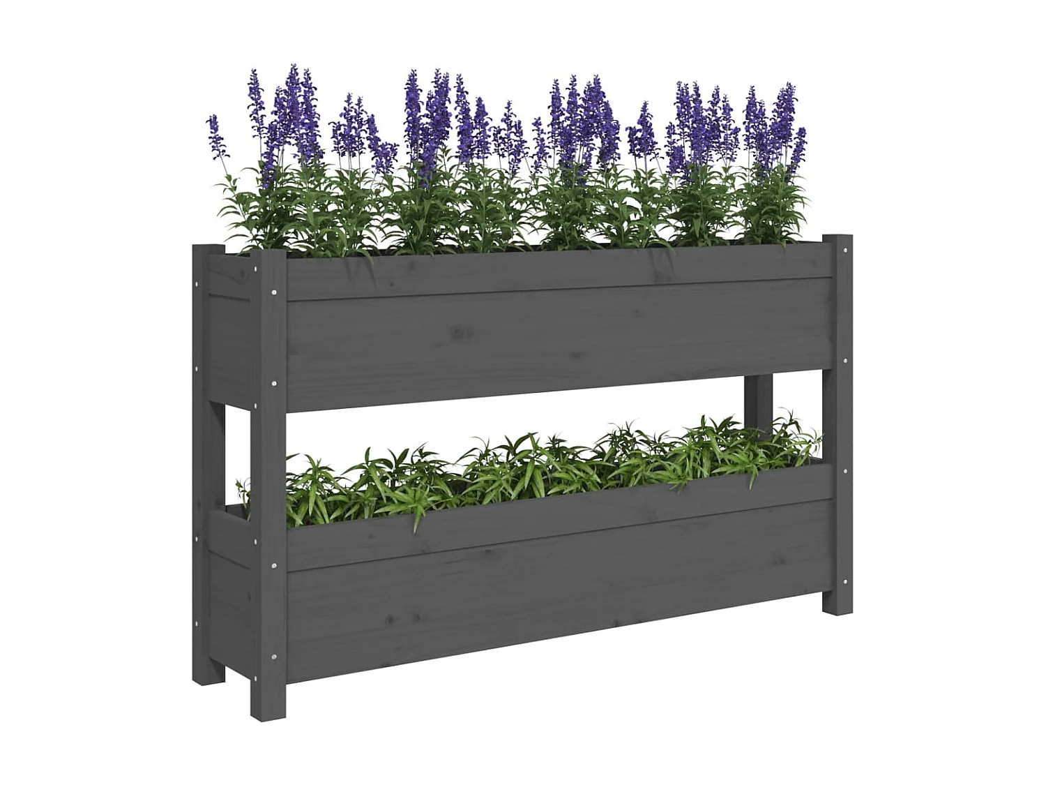 Jardinière Gris 112x25x66 cm Bois massif de pin BE7705
