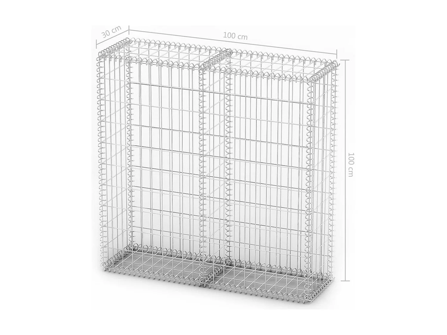 Mur de gabion avec couvercle Fil galvanisé 100 x 100 x 30 cm  WVGQ7752