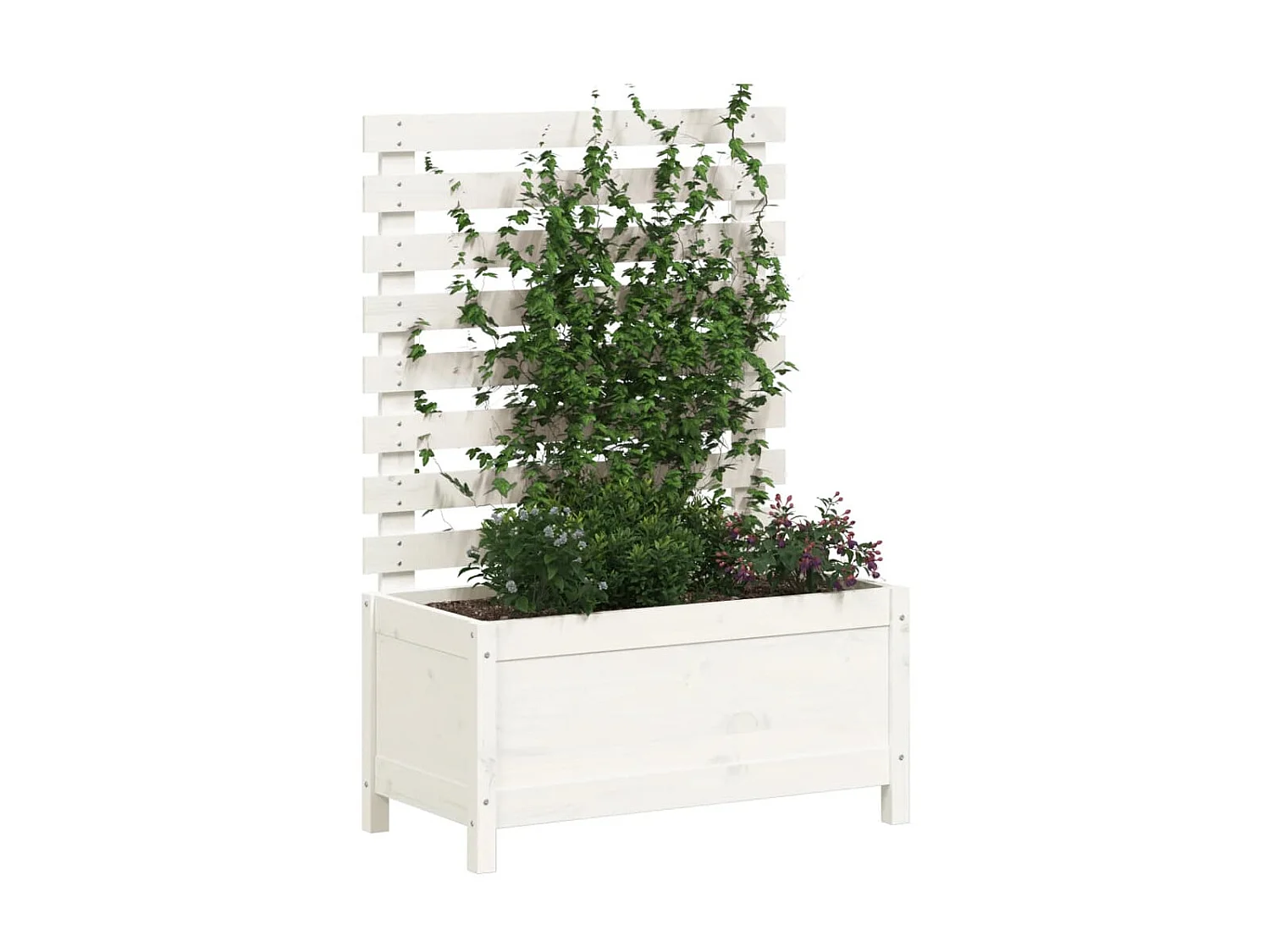 Jardinière avec support blanc 79x39,5x114 cm bois de pin massif BE2018