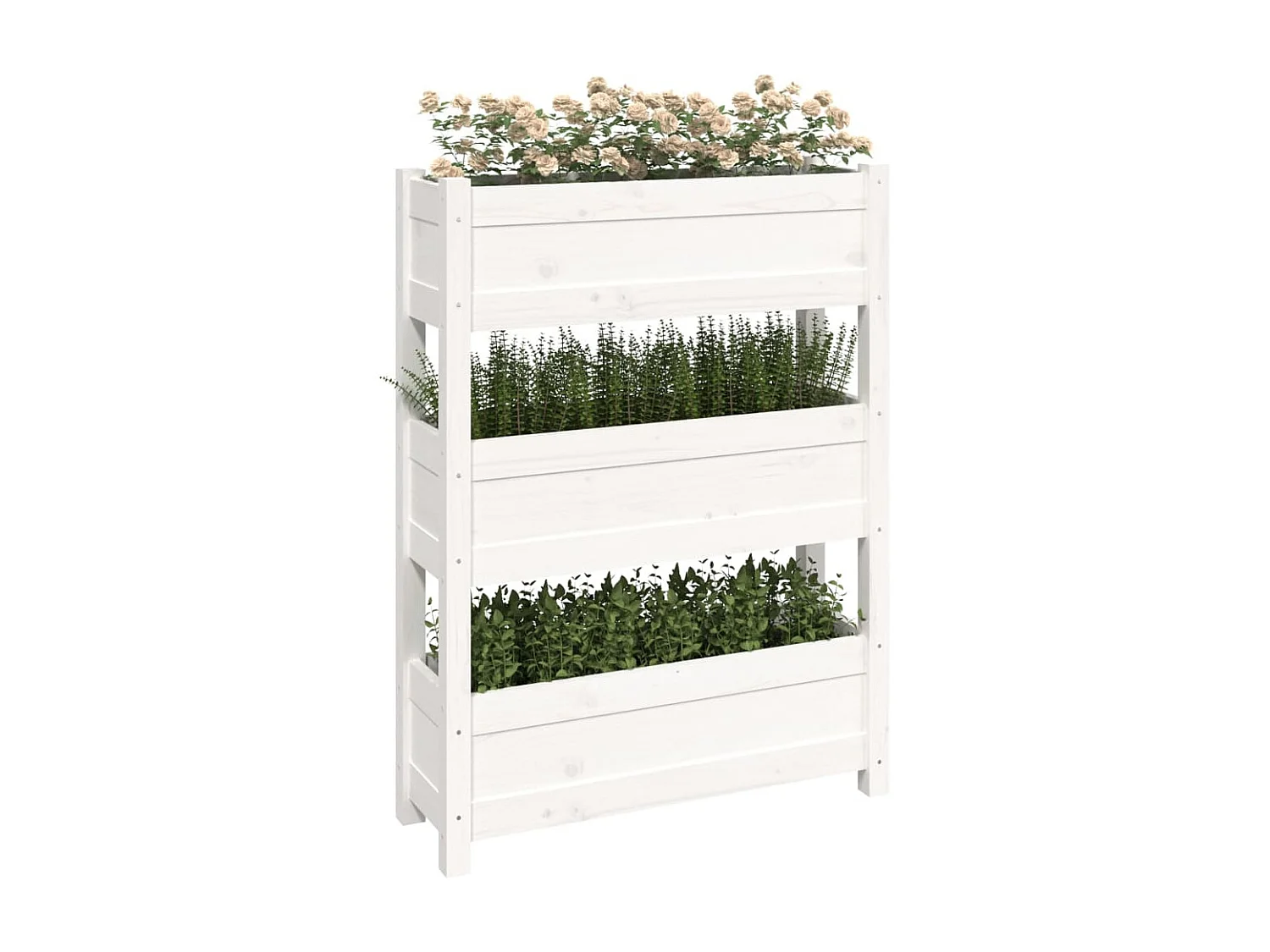 Jardinière Blanc 77x25x104,5 cm Bois massif de pin BE8135